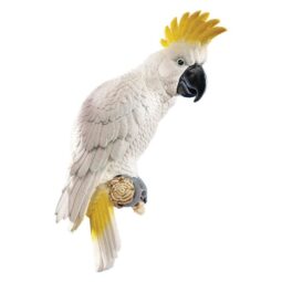 Kakadus Papageien